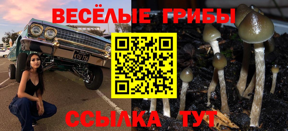 Галлюциногенные грибы Psilocybine cubensis Туймазы
