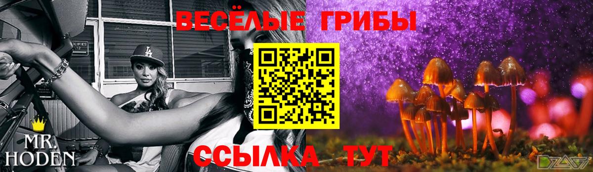 Туймазы  Псилоцибиновые грибы Psilocybe  Вход с VPN 